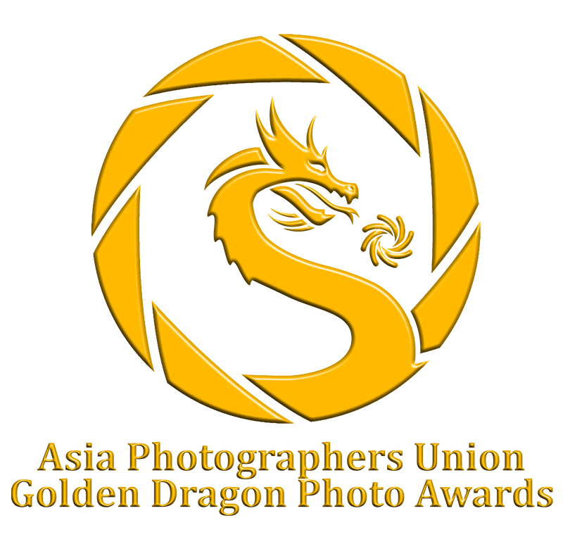 AS12C APU Golden Dragon Photo Award