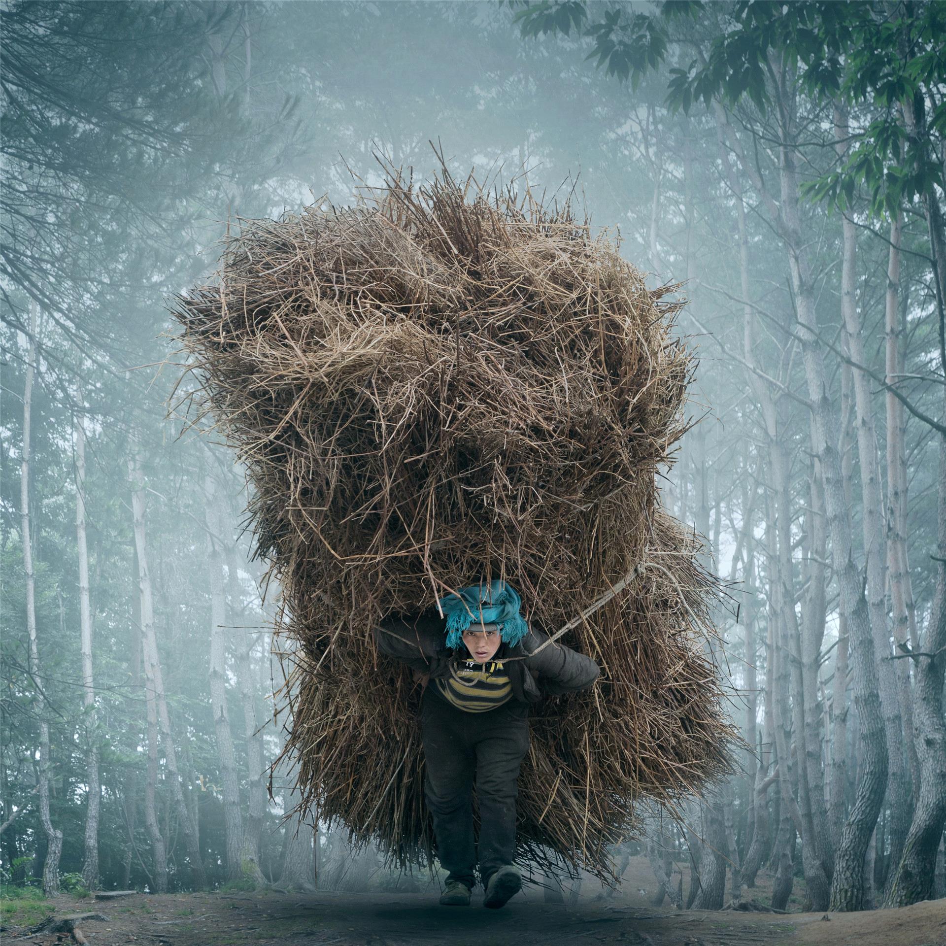 Certificate of Commendation - Yan Yang (China) - Bear A Heavy Burden