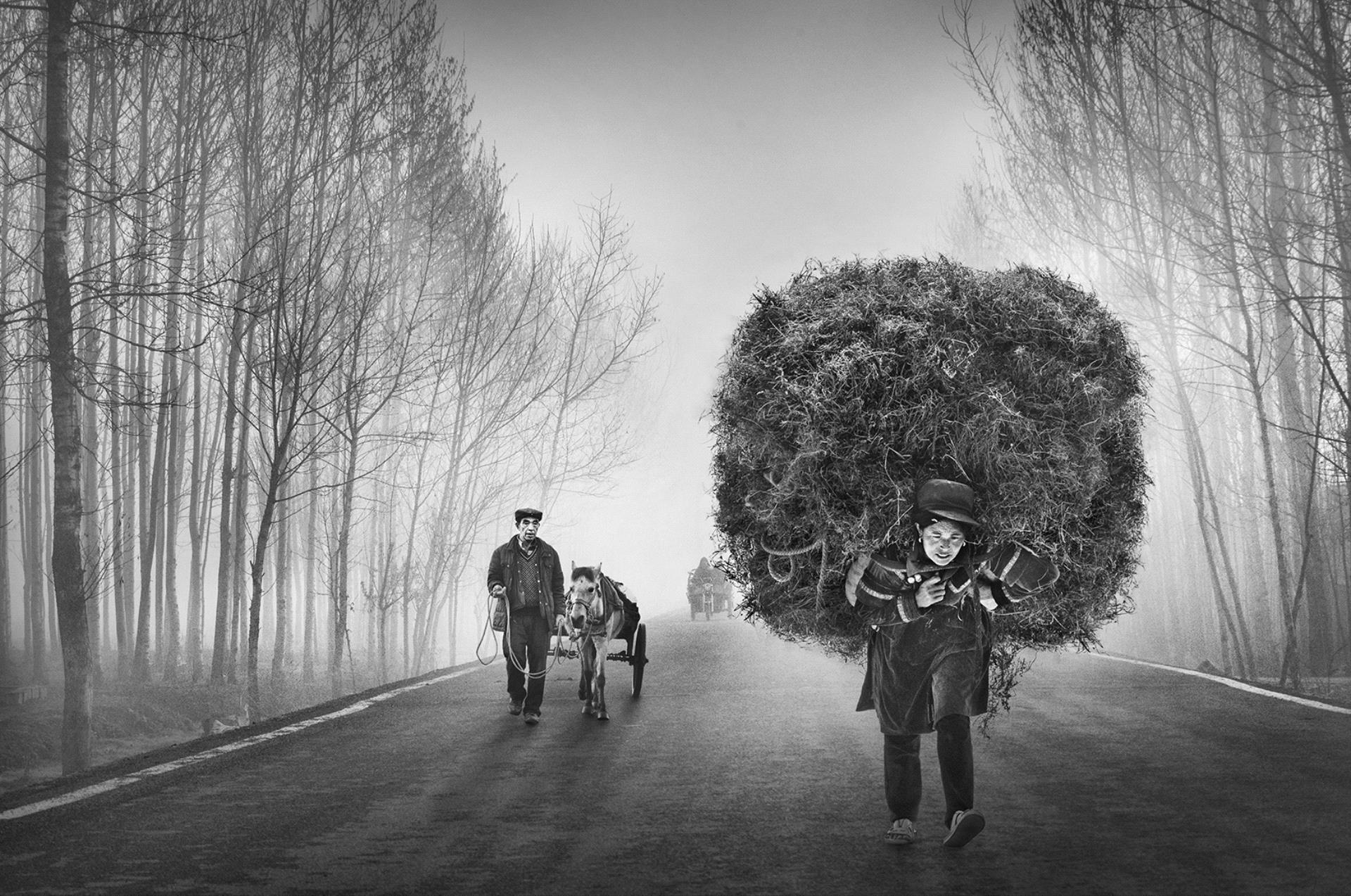 Golden Dragon Photo Award - Arnaldo Paulo Che (Hong Kong) - Burden Of Life 1